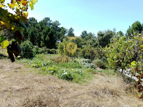 Terreno para Construção
