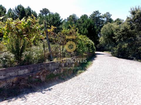 Terreno para Construção