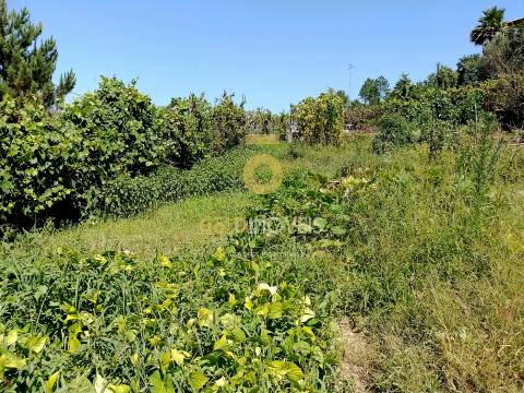 Terreno para Construção