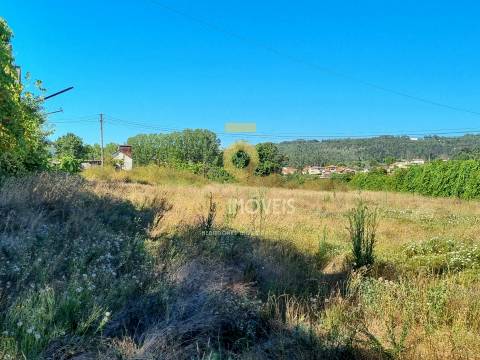Terreno Rústico  Venda em Travanca,Amarante