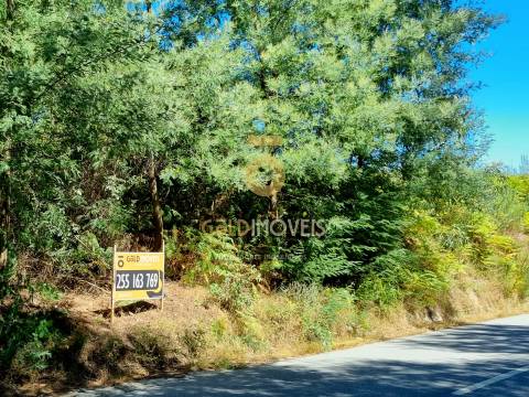 Terreno Rústico  Venda em Travanca,Amarante