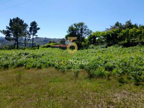 Terreno para Construção