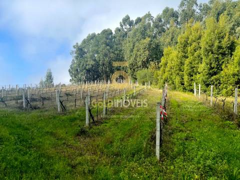 Terreno para construção