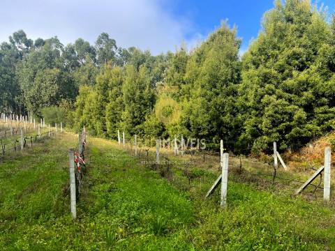 Terreno para construção
