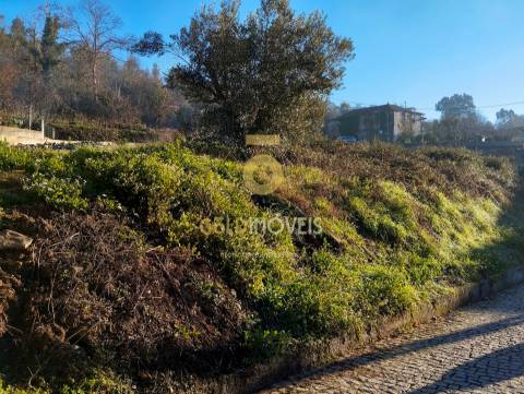 Terreno em solo de construção -  Nespereira, Cinfães