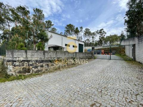 Armazém  Venda em Santa Maria de Sardoura,Castelo de Paiva