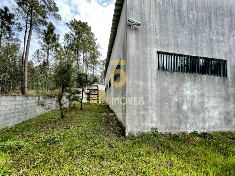 Armazém  Venda em Santa Maria de Sardoura,Castelo de Paiva