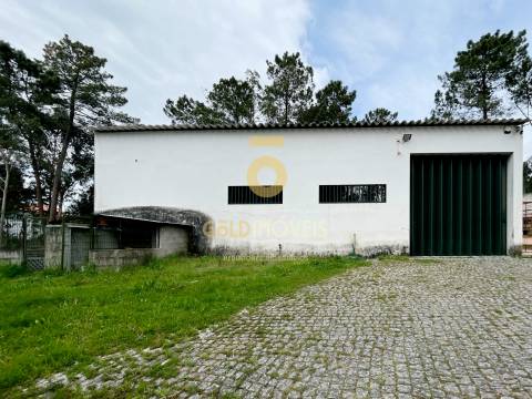 Armazém  Venda em Santa Maria de Sardoura,Castelo de Paiva