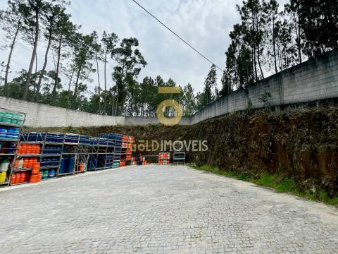 Armazém  Venda em Santa Maria de Sardoura,Castelo de Paiva