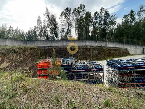 Armazém  Venda em Santa Maria de Sardoura,Castelo de Paiva