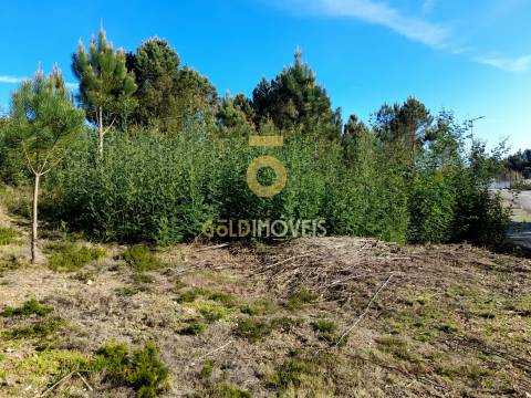 Lote de Terreno  Venda em Nogueira do Cravo e Pindelo,Oliveira de Azeméis