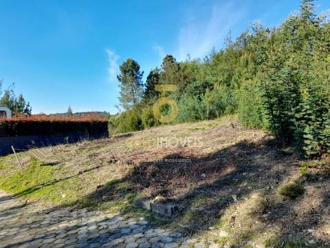 Lote de Terreno  Venda em Nogueira do Cravo e Pindelo,Oliveira de Azeméis