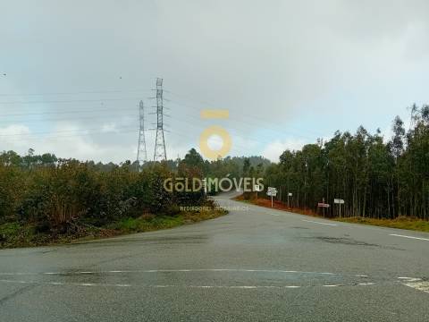 Terreno Florestal em Real - Castelo de Paiva