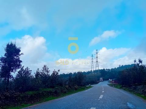 Terreno Florestal em Real - Castelo de Paiva