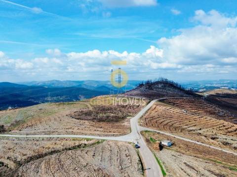 Terreno Florestal em Real - Castelo de Paiva