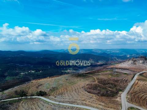 Terreno Florestal em Real - Castelo de Paiva