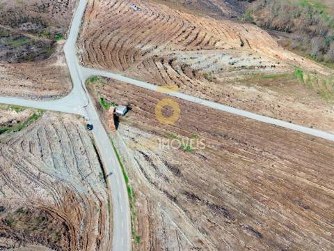 Terreno Florestal em Real - Castelo de Paiva