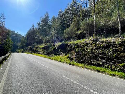 Terreno Rústico  Venda em Raiva, Pedorido e Paraíso,Castelo de Paiva