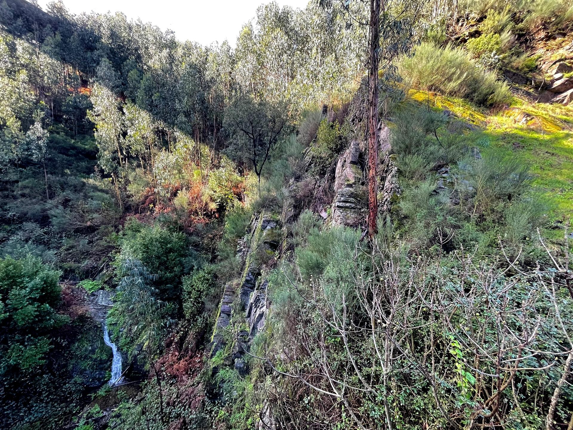 Terreno Rústico  Venda em Raiva, Pedorido e Paraíso,Castelo de Paiva