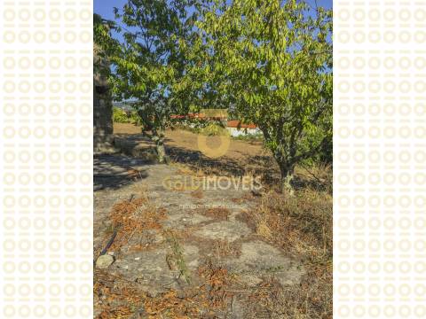 Quinta T3 Venda em Boelhe,Penafiel