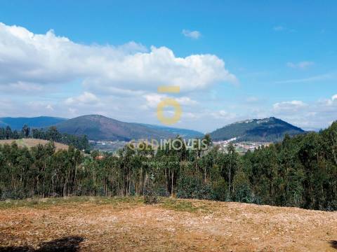 Terreno Florestal