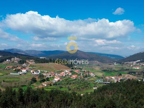 Terreno Florestal