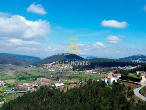Terreno Florestal