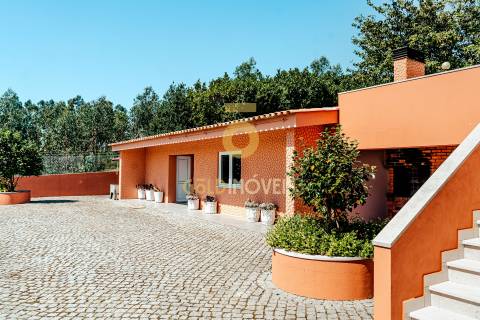 Quinta T4 Venda em Nogueira do Cravo e Pindelo,Oliveira de Azeméis