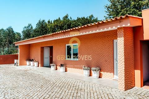 Quinta T4 Venda em Nogueira do Cravo e Pindelo,Oliveira de Azeméis