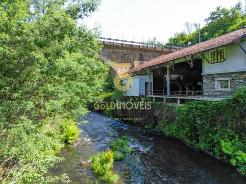 Quinta  Venda em Raiva, Pedorido e Paraíso,Castelo de Paiva