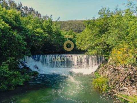 Quinta  Venda em Raiva, Pedorido e Paraíso,Castelo de Paiva