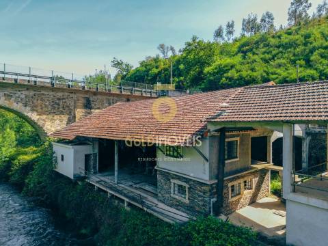 Quinta  Venda em Raiva, Pedorido e Paraíso,Castelo de Paiva