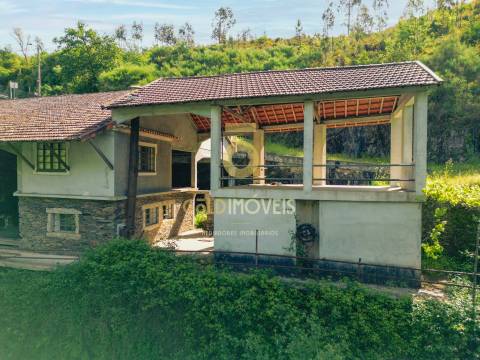 Quinta  Venda em Raiva, Pedorido e Paraíso,Castelo de Paiva