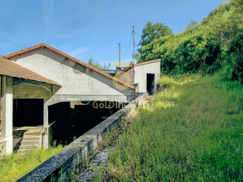 Quinta  Venda em Raiva, Pedorido e Paraíso,Castelo de Paiva