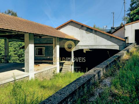 Quinta  Venda em Raiva, Pedorido e Paraíso,Castelo de Paiva