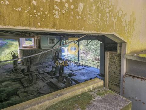 Quinta  Venda em Raiva, Pedorido e Paraíso,Castelo de Paiva