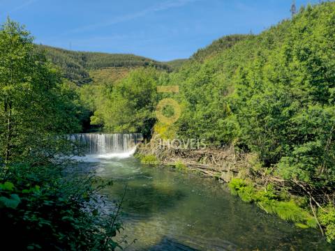 Quinta  Venda em Raiva, Pedorido e Paraíso,Castelo de Paiva