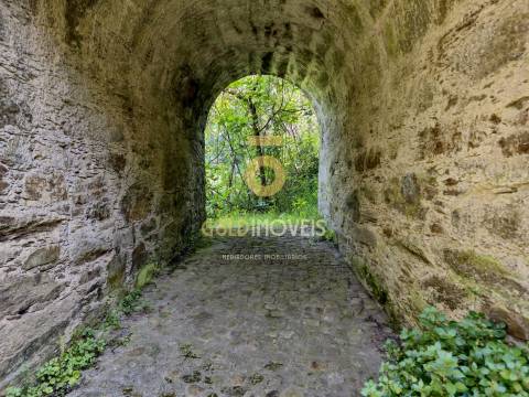 Quinta  Venda em Raiva, Pedorido e Paraíso,Castelo de Paiva