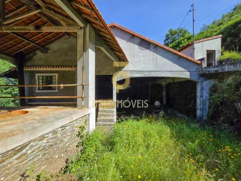 Quinta  Venda em Raiva, Pedorido e Paraíso,Castelo de Paiva