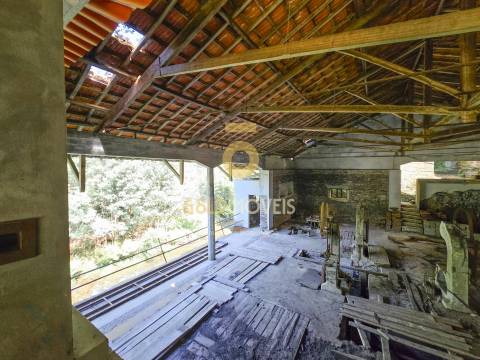 Quinta  Venda em Raiva, Pedorido e Paraíso,Castelo de Paiva