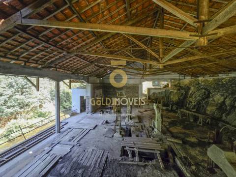 Quinta  Venda em Raiva, Pedorido e Paraíso,Castelo de Paiva