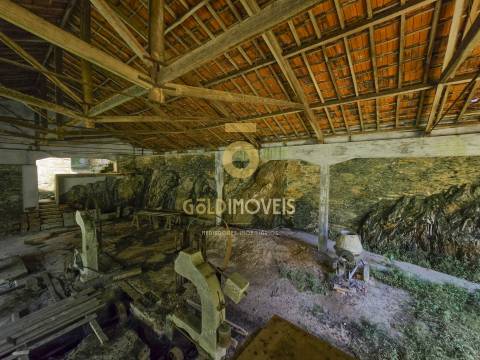 Quinta  Venda em Raiva, Pedorido e Paraíso,Castelo de Paiva