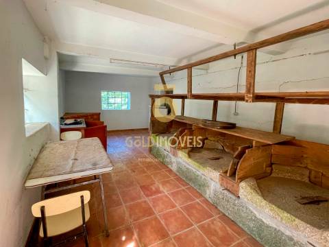 Quinta  Venda em Raiva, Pedorido e Paraíso,Castelo de Paiva