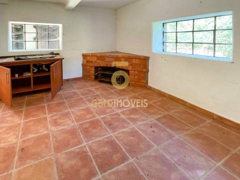 Quinta  Venda em Raiva, Pedorido e Paraíso,Castelo de Paiva