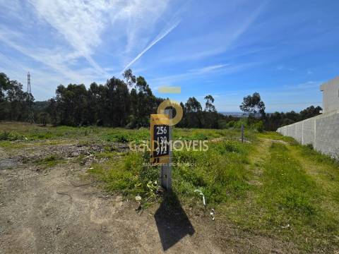 Terreno Para Construção  Venda em Santa Maria da Feira, Travanca, Sanfins e Espargo,Santa Maria da Feira
