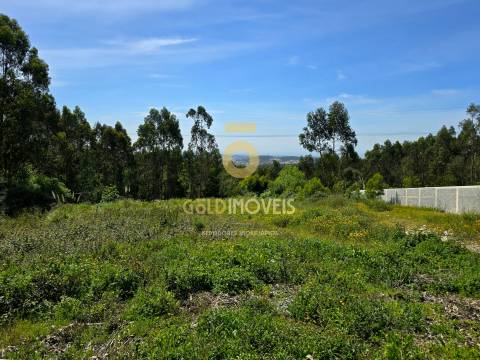 Terreno Para Construção  Venda em Santa Maria da Feira, Travanca, Sanfins e Espargo,Santa Maria da Feira