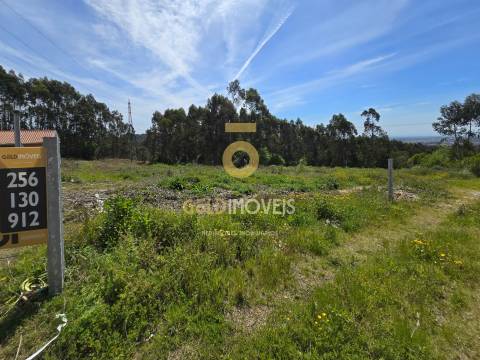 Terreno Para Construção  Venda em Santa Maria da Feira, Travanca, Sanfins e Espargo,Santa Maria da Feira
