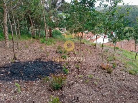 Terreno para construção