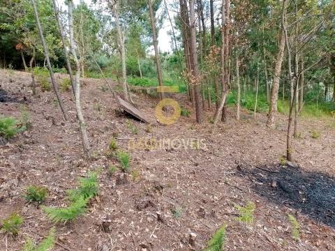 Terreno para construção