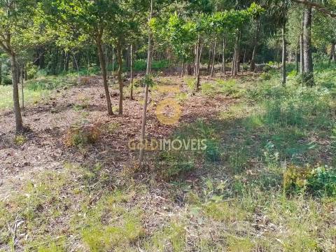 Terreno para construção